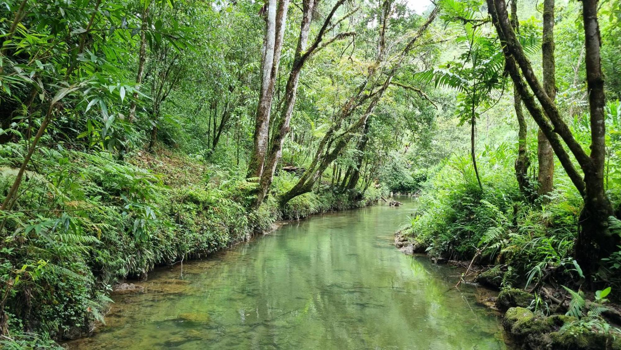Rincon Verde, Chamelco, Coban Holiday home *