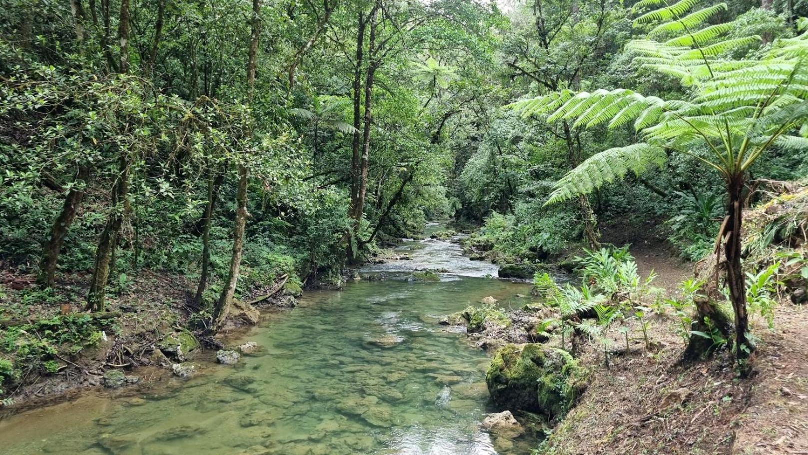 Rincon Verde, Chamelco, Coban